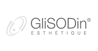 agence web glisodin