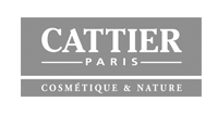 agence web cattier