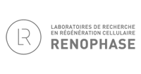 agence web renophase